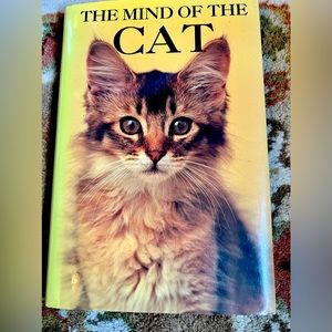 THE MIND OF THE CAT🙀